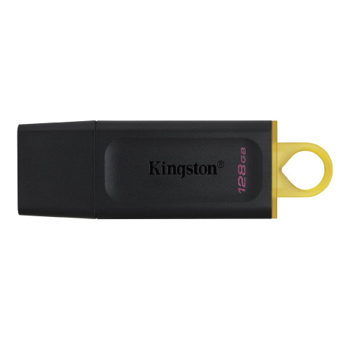 256GB USB 3.2 (Gen 1) Pen Drive Kingston