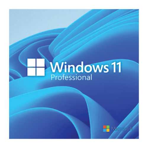 Microsoft Windows 11 Pro 64 BIT