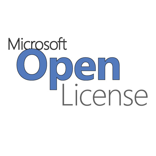 MS SVR Stand 2019 2 Core Open License