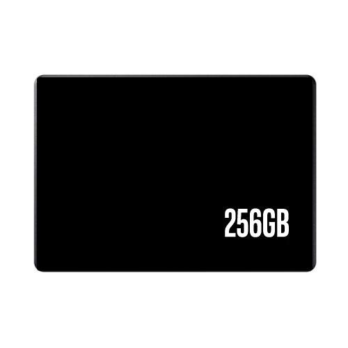 256GB SSD Major Brands