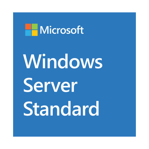 Microsoft WIN SRV 2019 5 License USR