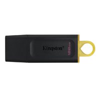 128GB USB 3.2 (Gen 1) Pen Drive Kingston