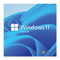 Microsoft Windows 11 Home 64 BIT