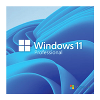 Microsoft Windows 11 Pro 64 BIT