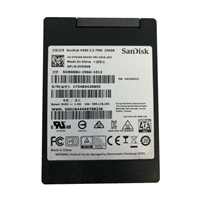 256GB SSD SanDisk