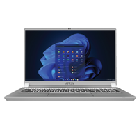 MSI 17.3" i9 10980HK-64GB-1TB NVMe-W11P*