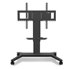Viewsonic Motorized Trolly Cart